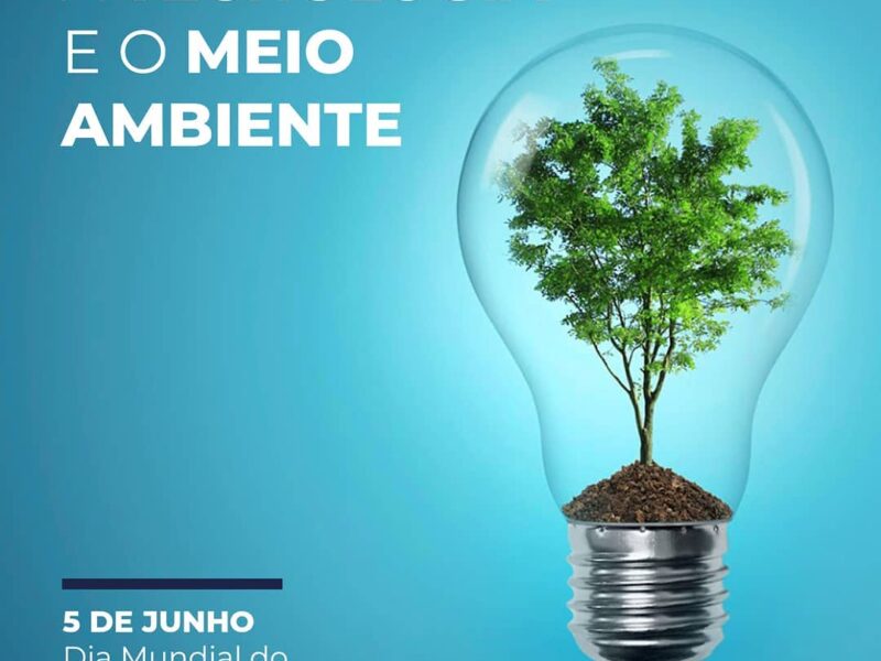 196824700_4071271356289158_2507065769664448642_n